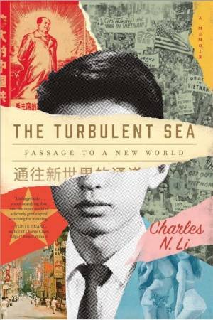 The Turbulent Sea by Charles N. Li