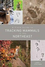 A Field Guide To Tracking Mammals In The Northeast