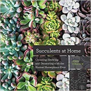 Succulents At Home by John Tullock