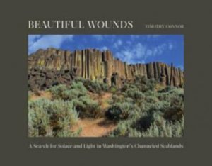 Beautiful Wounds by Timothy Connor