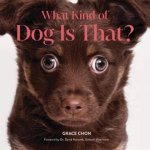 What Kind of Dog Is That