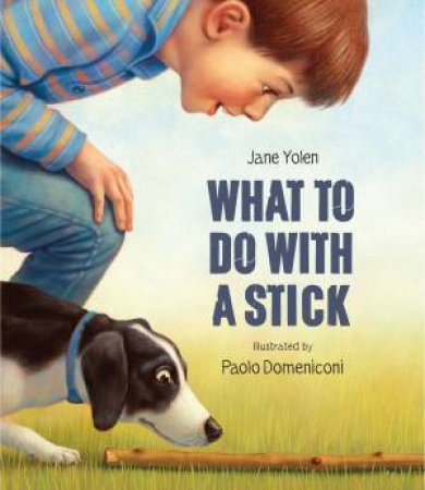 What to do with a Stick by Jane Yolen & Paolo Domeniconi