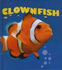 Wild Planet Clownfish