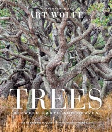 Trees (Gift Edition): Between Earth And Heaven by Art Wolfe