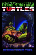 Teenage Mutant Ninja Turtles Color Classics Vol 3