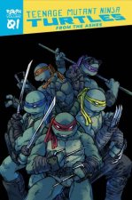Teenage Mutant Ninja Turtles Reborn Vol 1  From The Ashes