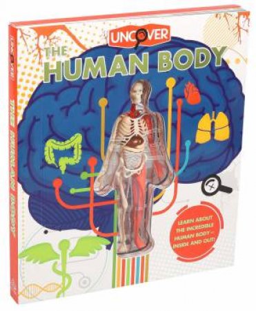 Uncover The Human Body by Luann Colombo