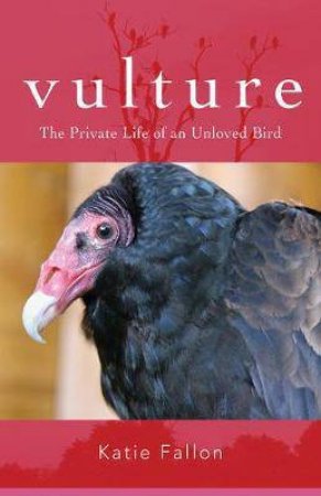 Vulture by Katie Fallon