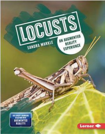 Creepy Crawlers in Action: Locusts by Sandra Markle