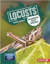 Creepy Crawlers in Action Locusts