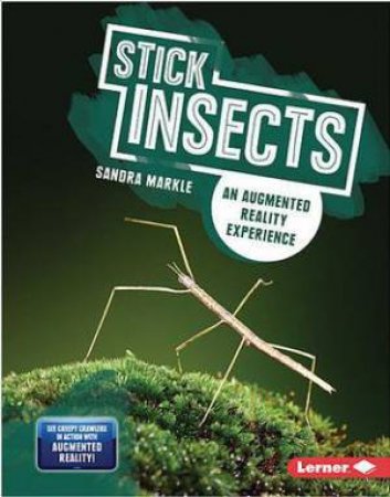 Creepy Crawlers in Action: Stick Insects by Sandra Markle