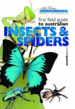 Discover  Learn First Field Guide To Australian Insects  Spiders