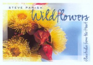 Australia From The Heart: Wildflowers by Steve Parish