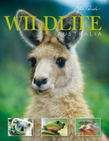 A Souvenir: Wildlife Australia by Steve Parish