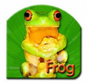 Steve Parish Board Book: Frog by Steve Parish