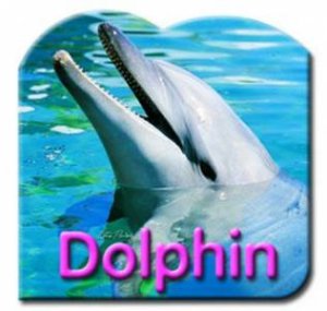 Steve Parish Board Book: Dolphin by Steve Parish