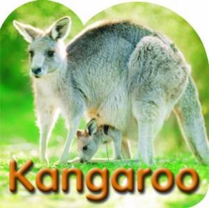 Steve Parish Board Book: Kangaroo by Steve Parish