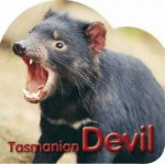 Board Book Tasmanian Devil
