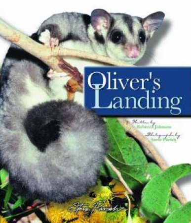 Oliver's Landing by Rebecca Johnson