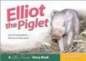 Elliott The Piglet by Steve Parish