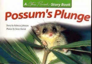Steve Parish Story Book: Possum's Plunge by Rebecca Johnson