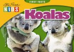 Steve Parish First Facts Koala