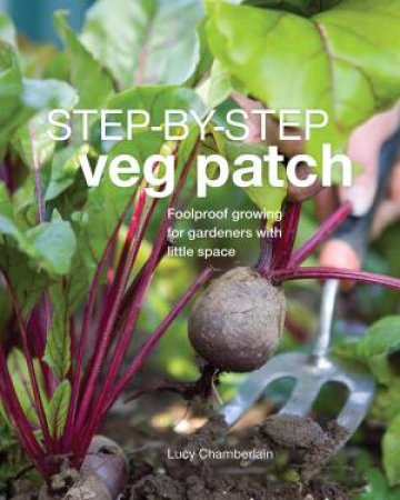 Veg Patch Step By Step by DK