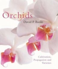 Orchids Cultivation Propagation And Varieties