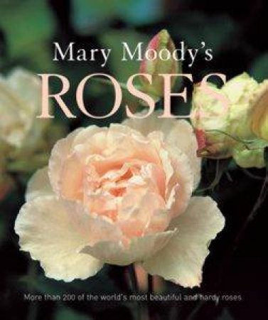 Mary Moody's Roses by Mary Moody