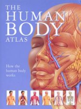 Human Body Atlas How The Human Body Works