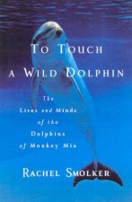To Touch A Wild Dolphin The Dolphins Of Monkey Mia