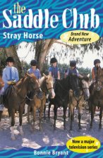 Stray Horse