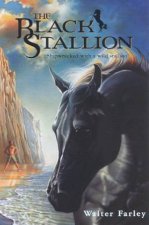 The Black Stallion