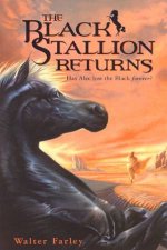 The Black Stallion Returns