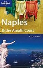 Lonely Planet Naples  The Amalfi Coast  1 Ed