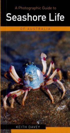 A Photographic Guide To Seashore Life Of Australia by Keith Davey