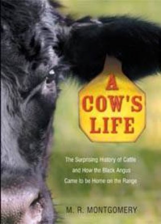 A Cow's Life: The Surprising History Of Cattle, And How Black Angus Came To Be Home On The Range by M R Montgomery