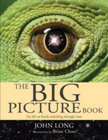 Big Picture Book by John Long