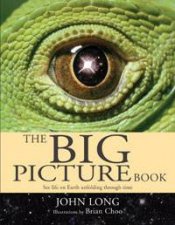 Big Picture Book