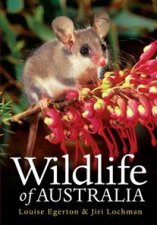 Wildlife of Australia