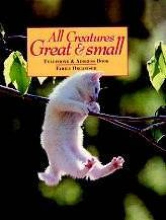 All Creatures Great And Small: Telephone And Address Family Organiser by Unknown