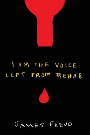 I Am The Voice Left From Rehab by James Freud
