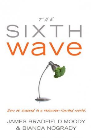 Sixth Wave: How to Succeed in a Resource Limited World by James Bradfield-Moody & Bianca Nogrady