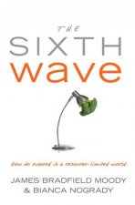 Sixth Wave How to Succeed in a Resource Limited World