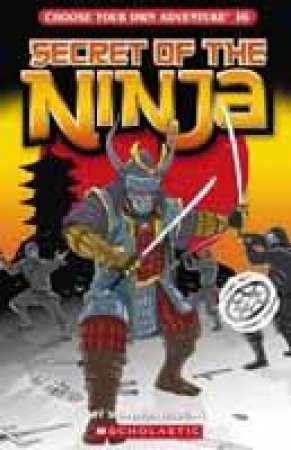 Secret Of The Ninja by Shannon Gilligan