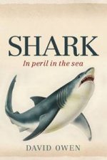 Shark In Peril in the Sea