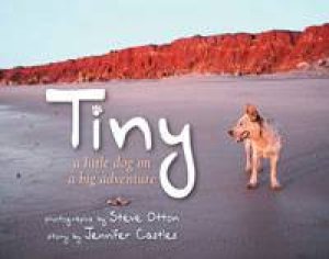 Tiny by Steve Otton & Jennifer Castles