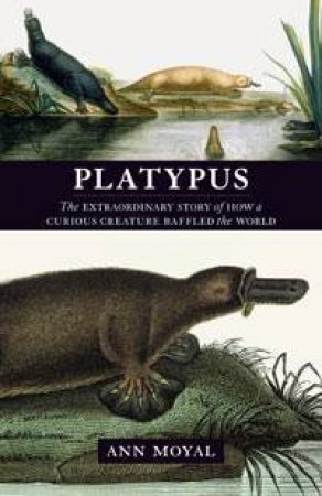 Platypus by Ann Moyal