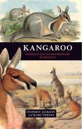 Kangaroo by Stephen Jackson