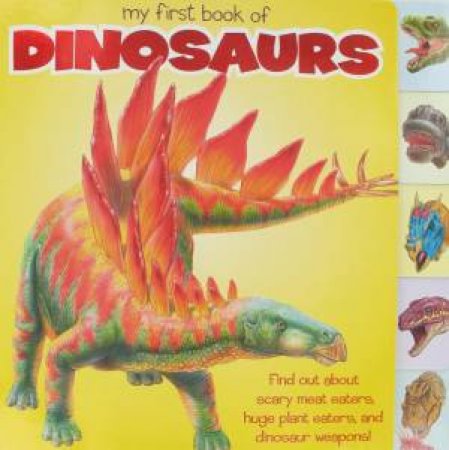 My First Book of Dinosaurs by Various